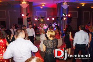dj nunta timisoara